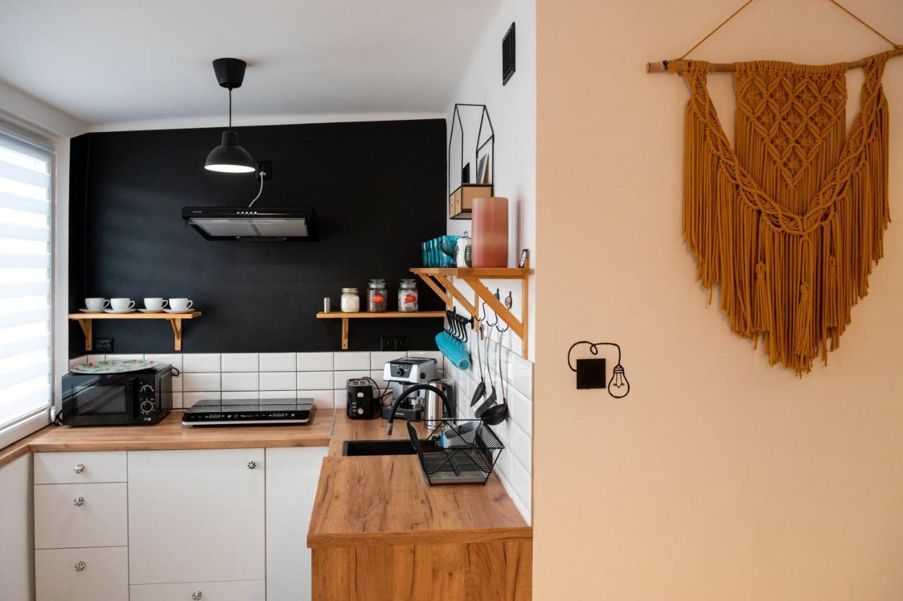 Art Apartament Ustrzyki Dolne Ngoại thất bức ảnh